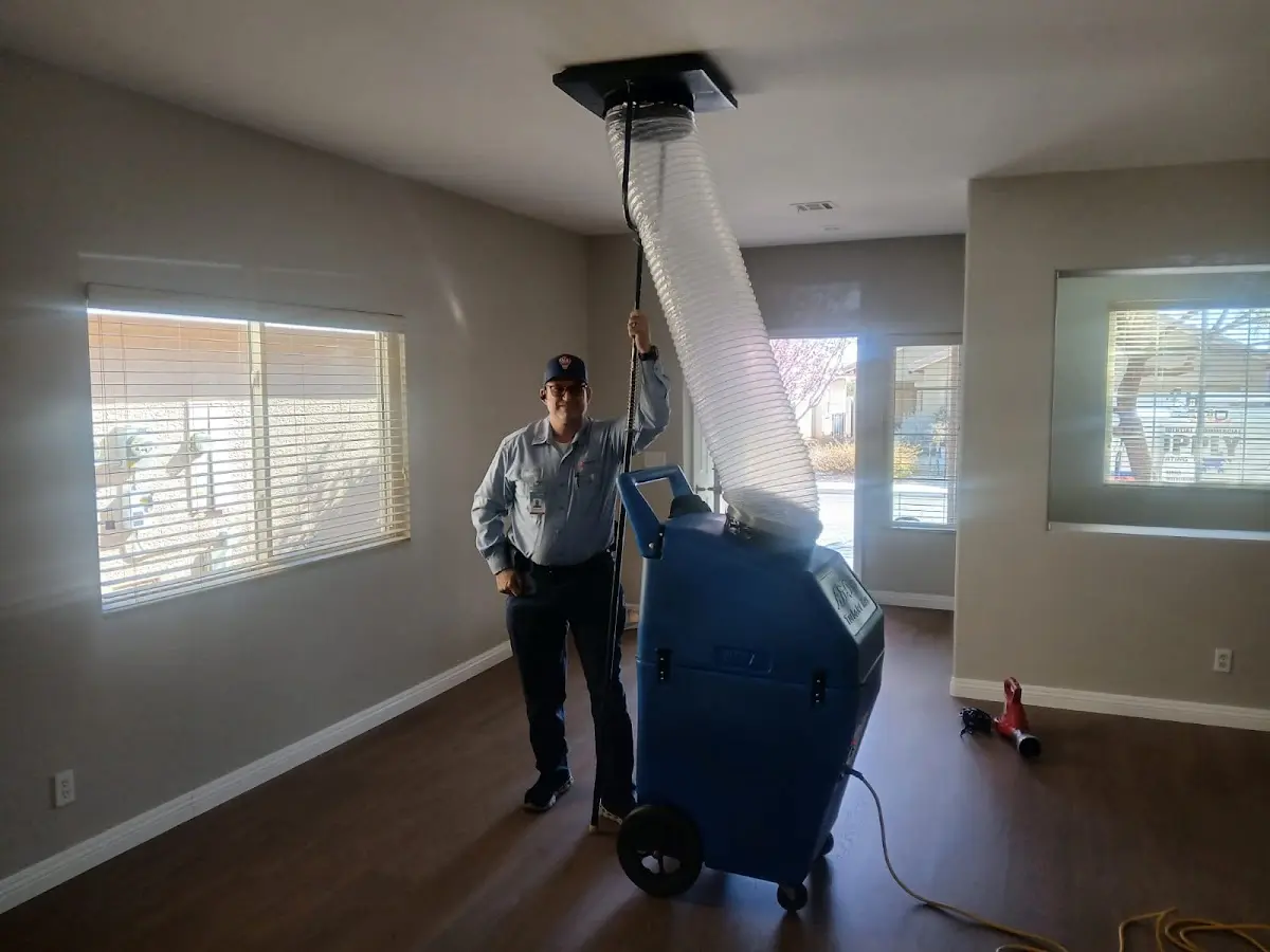 Professional Dryer Vent Cleaning work inside a Nelson home
